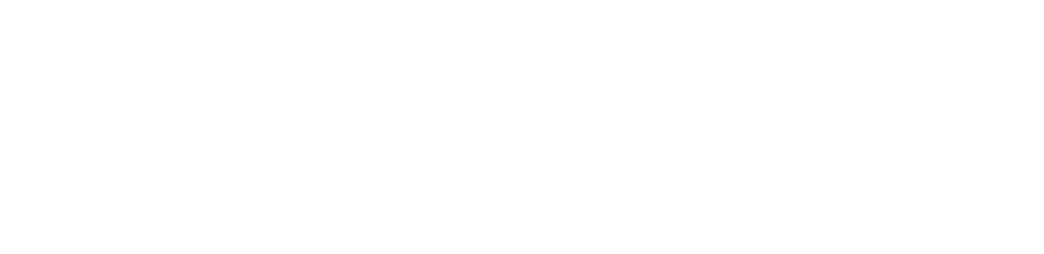 McAdam Financial_Logo_Horizontal_White